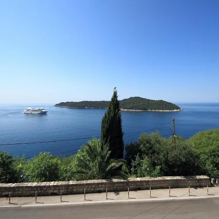 Lavandula * Dubrovnik