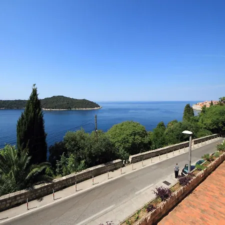 Lavandula Dubrovnik