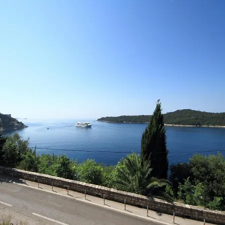 Lavandula * Dubrovnik
